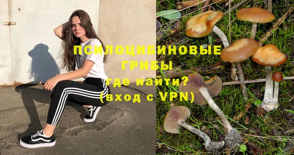 кристаллы Каменка