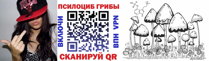 Галлюциногенные грибы мицелий  Купить где  Верея 